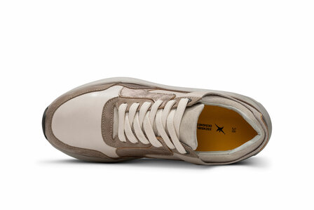 XSensible Golden Gate Lady Taupe Combi