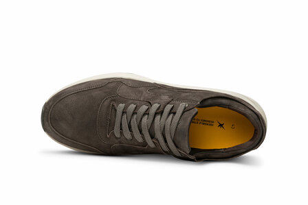 XSensible Golden Gate Men Carbon