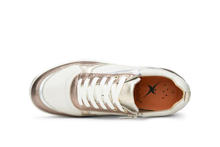 XSensible Pula Bronze Combi 