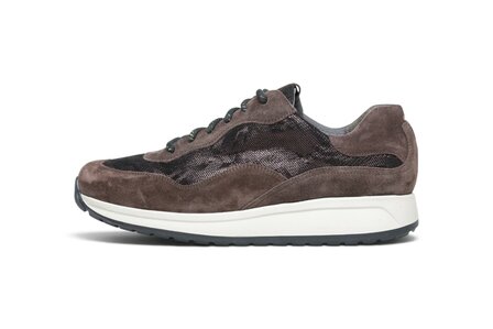 Durea Noor Sneaker Caffe/Bordo
