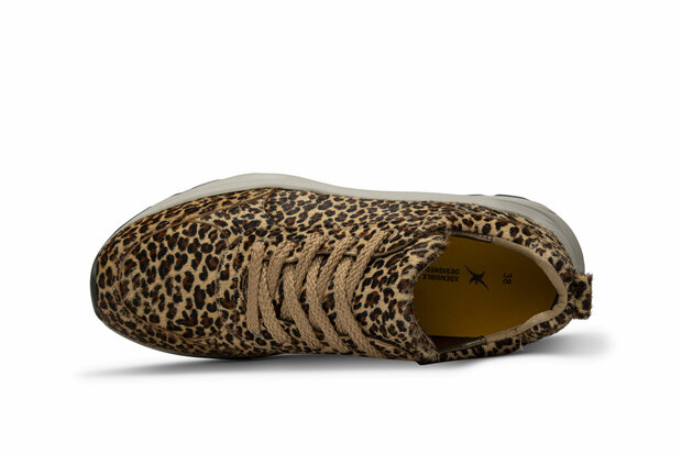 XSensible Leopard