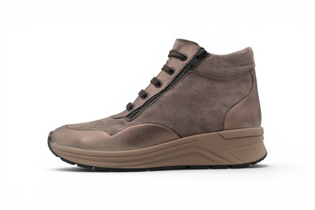 Solidus Karma fango arcadia