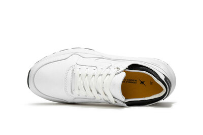 XSensible Golden Gate Lady White