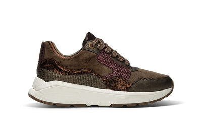 XSensible Golden Gate Lady Bronze Combi