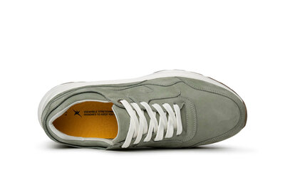 XSensible Golden Gate Men Pine