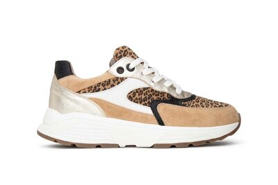 XSensible Ponte Vecchio Camel Combi