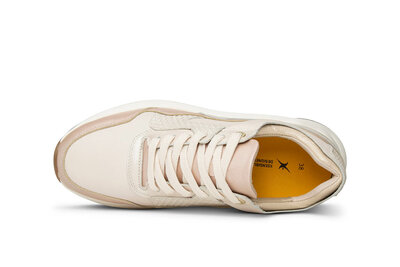 XSensible Golden Gate Soft Coral Combi 