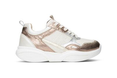 XSensible SWX28 Bronze Combi 