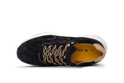 XSensible Ponte Vecchio Navy
