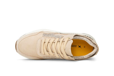 XSensible Golden Gate Sand Fantasy 