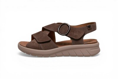 Hartjes Calypso Stone