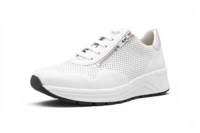Solidus Karma Wit/Silver 