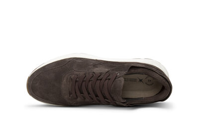 XSensible Golden Gate Men Dark Brown