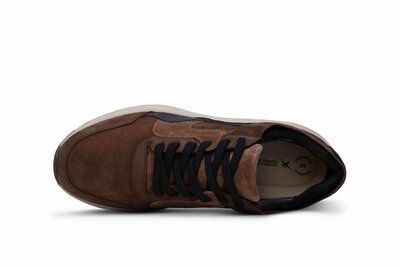 XSensible Golden Gate Men Dark Brown Combi
